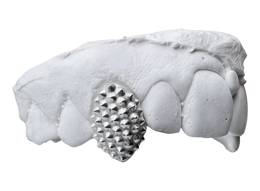 STUDDED FANGS